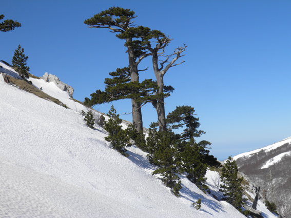 Parco Nazionale del Pollino